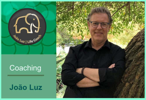 Coaching –  João Luz