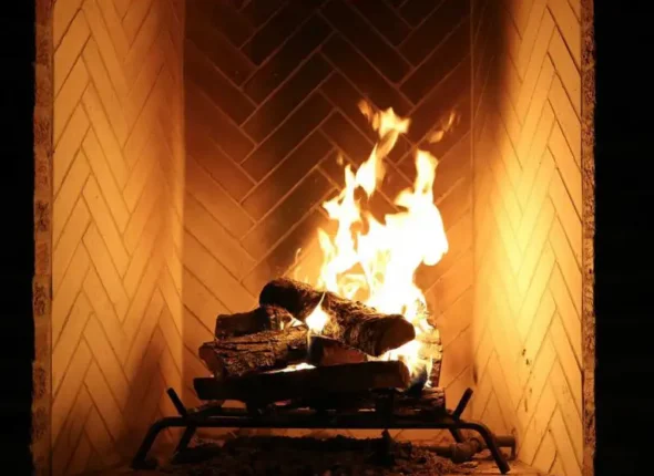 agni-fogo-ayurveda-ricardo-barreto