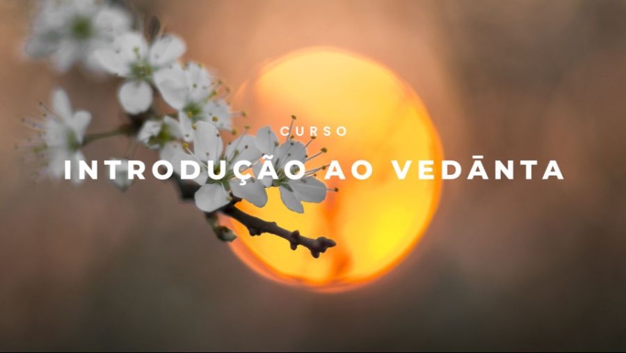 introvedantimagemcurso-resize